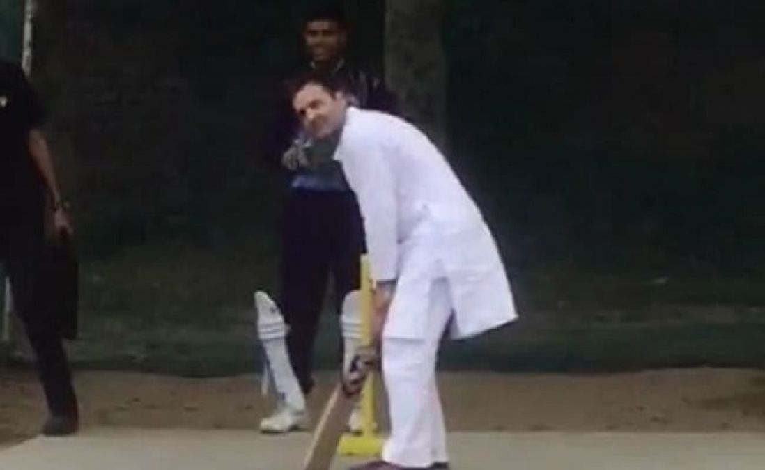 Rahul Gandhi Plays Cricket As Chopper Forced To Land In Rewari, watch video here