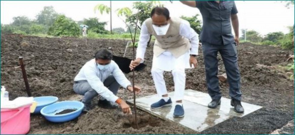 MP: CM Shivraj Singh Chouhan was seen irrigating plants in the rain, trolled
