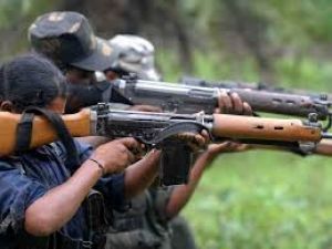Naxals who surrendered in the by-election also voted