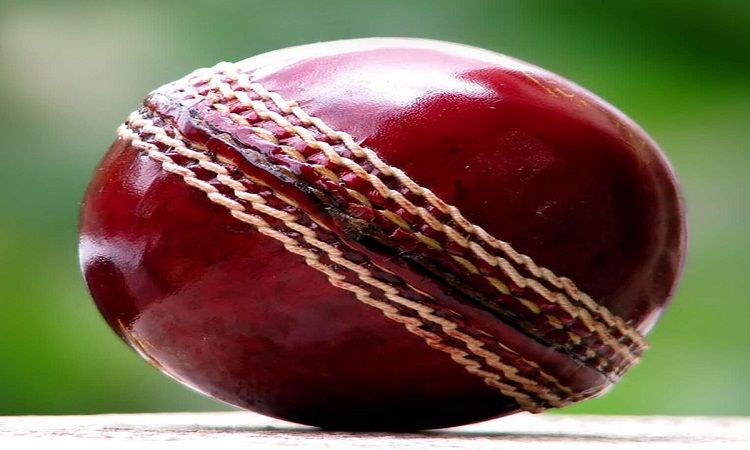 क्रिकेट को बॉल टेंपरिंग की जरुरत क्यों पड़ी?
