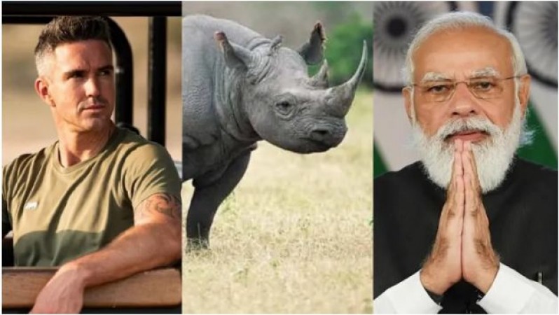 167 rhinos killed during Congress rule, only 1. under BJP rule: Pietersen