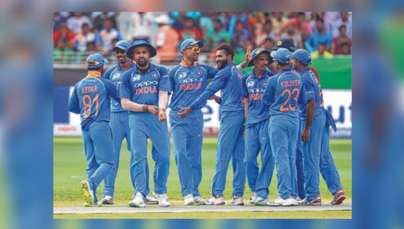 IND vs NZ : कीवी हुए ढेर, जमकर दहाड़े शेर, भारत की जीत में शमी ने जड़ा अनोखा शतक