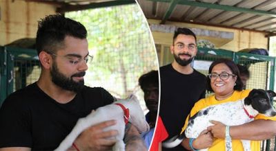 Virat Kohli visited Kennel house  to care for adopting 15 dogs