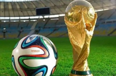 FIFA वर्ल्ड कप में फोन से गायब हुई टिकट तो बढ़ गई दर्शकों की परेशानी