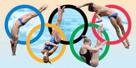 From Springboards to Great Heights: Unraveling the Evolution of Olympic Diving