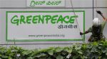 ग्रीनपीस के कार्यकर्ता को भारत में नहीं मिला प्रवेश