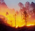जंगलों में लगी आग पर कुछ हद तक काबू पाया, धुएं के कारण ऑपरेशन रुका