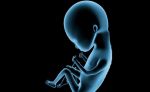 विज्ञान का विकास या प्रकृति को चुनौती : मां के गर्भ से बाहर भी मानव भ्रूण का विकास मुमकिन!