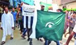 कश्मीर में फिर फहराए पाकिस्तान के झंडे