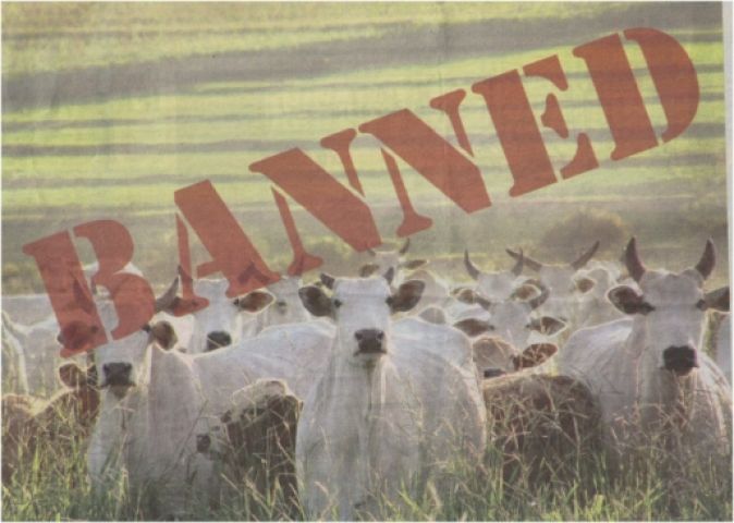 गौ मांस प्रतिबंध को लेकर अलगाववादियों ने नकारा कोर्ट का फैसला, की बंद की अपील