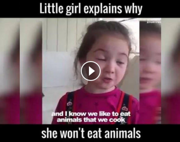 Video : छोटी सी बच्ची का यह सन्देश, नॉनवेज लवर्स को कर देगा सोचने पर मजबूर