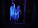 Video : क्या हो जब उड़ते-उड़ते आपके पास कोई भूत आ जाये ? देखिए