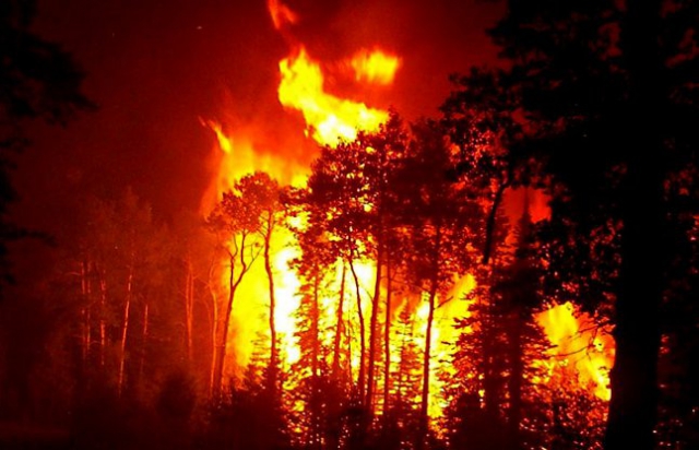 रूस में जंगल की आग में 15 खाक