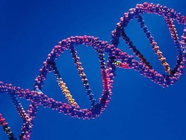 महिलाओं में मर्दों का डीएनए