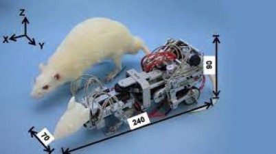 Engine failure? Never mind! RAT will save lives, know technology