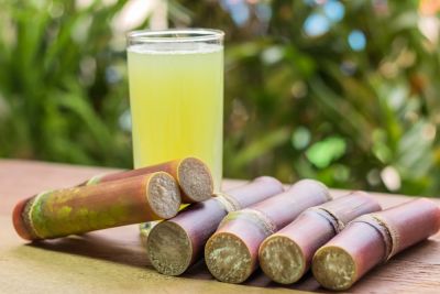 Sugarcane to be used as a fuel in future