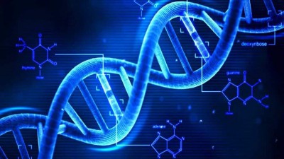 Genetic Engineering: Unlocking the Potential of DNA Manipulation
