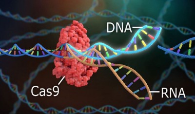 CRISPR Gene Editing Innovations: Cutting-Edge Applications and Ethical Considerations