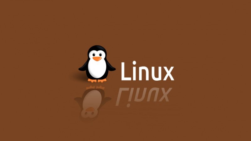 Mastering the Linux Shell: A Guide to Efficient System Administration