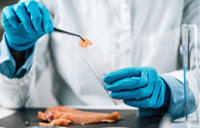 USA Approves Historic Sale of Lab-Grown Meat, Pioneering a New Era in Food Production