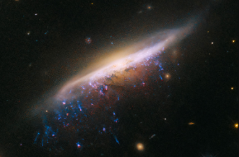 Galactic Jellyfish imaged by the Hubble Telescope