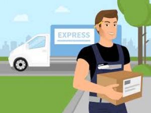 Top 5 courier companies, which contribute for timely shipments in India for E-commerce firms