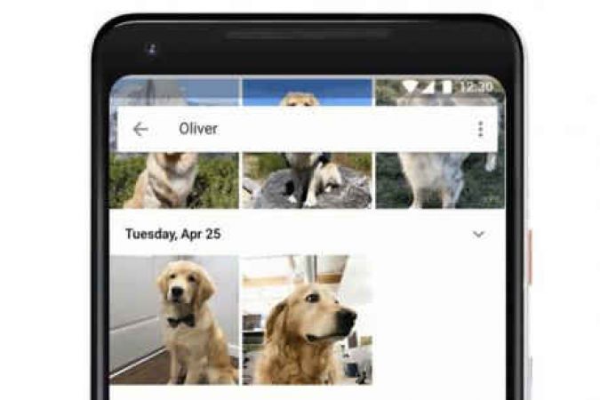 Google will now recognize your pet's face