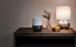 Welcome Home, Google's New AI device Home is here