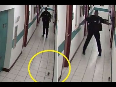 Video : जब एक पुलिस वाला डरा एक छोटे से चूहे से, हंसी नहीं रोक पाएंगे आप