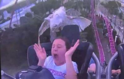 Bird slams into girl's face as she rides on a rollercoaster