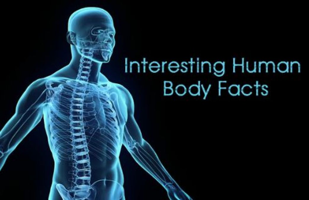 इंसानी सिर में होती हैं 22 हड्डियां, जानें इंटरेस्टिंग फैक्ट्स