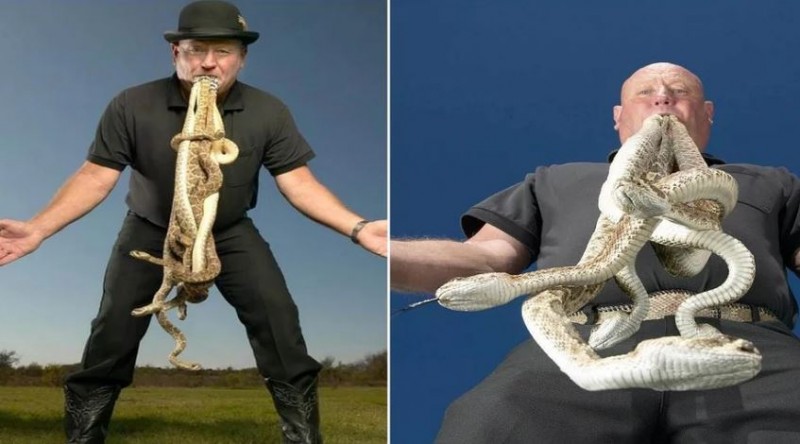 OMG! Man puts 11 snakes in his mouth but couldn't set a record