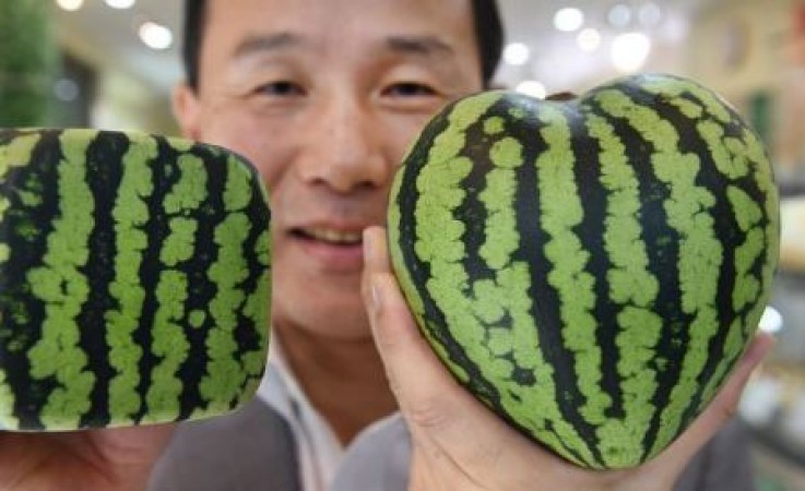 This watermelon is sold from 16k to 41k rupees, know what's special