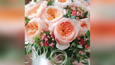 'जूलियट रोज' है दुनिया का सबसे महंगा गुलाब का फूल कीमत है 90 करोड़