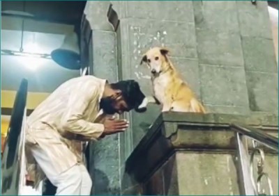 मंदिर के बाहर बैठा कुत्ता भक्तों को दे रहा आशीर्वाद, वीडियो वायरल