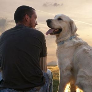 एक बतख से अपने मालिक को कैसे बचाया इस वफादार कुत्ते ने, देखिये इस विडियो को