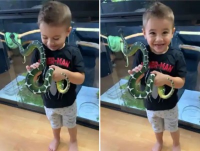 To make a video, the life of the little child put in danger, the snake in the hand and then...