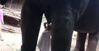Video: हथिनी से पूछकर उसका दूध पीने लगी बच्ची, वजह सुनकर रो पड़ेंगे आप