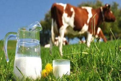 महंगाई के ज़माने में भी मध्य प्रदेश के इस गांव में मिलता है मुफ्त दूध