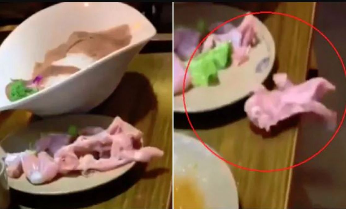 Video A Piece Of Meat Was Walking On The Plate The Girl Screamed Loudly Newstrack English 1 Nt