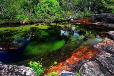 ये है दुनिया की सबसे खूबसूरत नदी जिसका पानी एक नहीं बल्कि है इतने रंग का