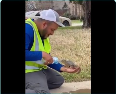 Man helping thirsty squirrel drink water from bottle; video goes viral