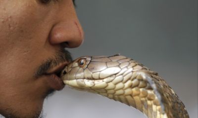 कोबरा को किस करता था ये शख्स