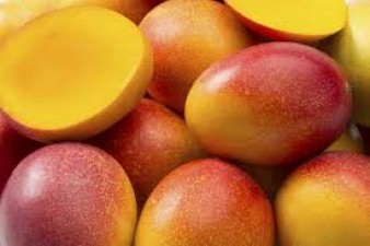 This is the world's most expensive mango