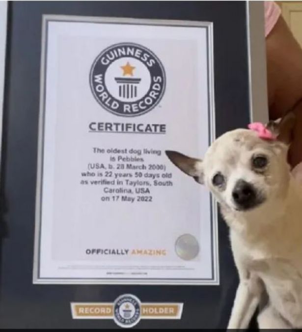 Name of this dog recorded in Guinness World Records, reason is unique