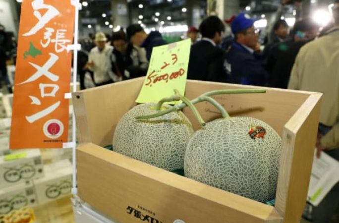 5 मिलियन में हुई जापान में दो खरबूजों की नीलामी