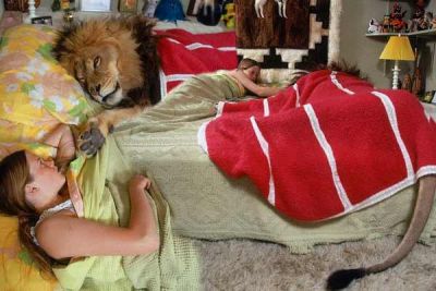 अजब-गजब: शेरों के साथ सोती है यह महिला