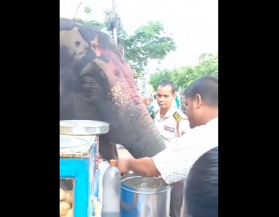 Video: हाथी ने मजे से खाए गोलगप्पे, सड़क पर खड़े देखते रहे लोग