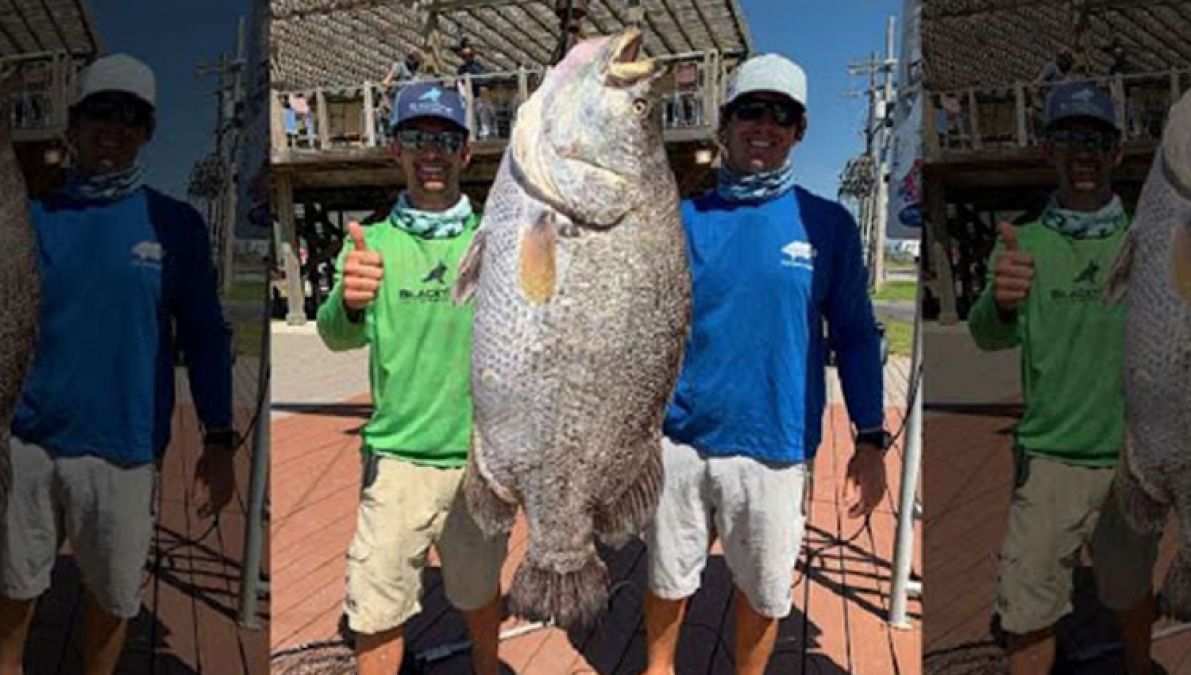 All records get broken, American fisherman caught this giant fish