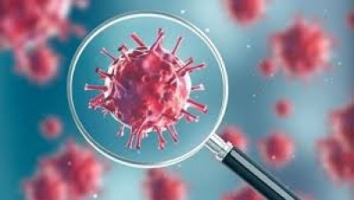 वैज्ञानिकों का दावा लैब से उत्पन्न हुआ कोरोना वायरस